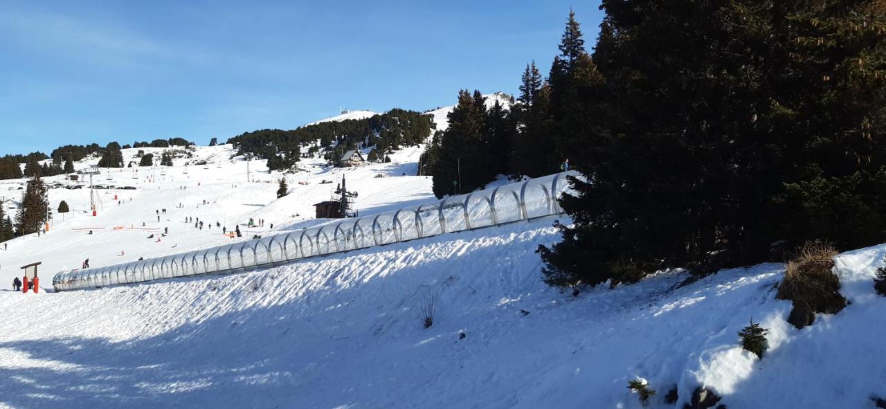 Studio Aux Pieds Des Pistes Roche Beranger Chamrousse Kültér fotó